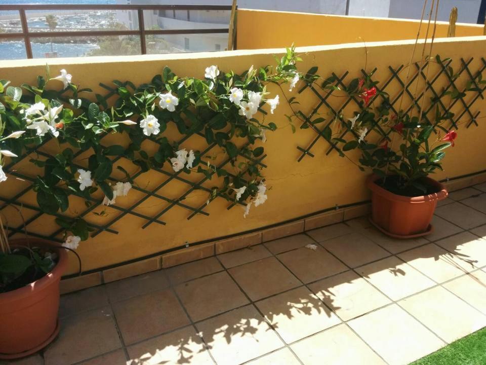 431 - Edif Aguamarina - Vacation Rental Home In The Coast Line Of Golf Del Sur San Miguel de Abona Esterno foto